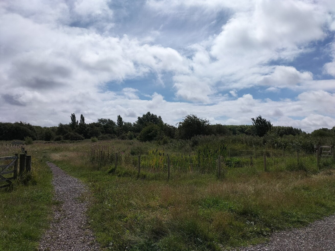 Lunt Meadows Nature Reserve景点图片