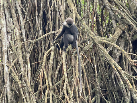 Asya Tours-卡卢特勒必去景点