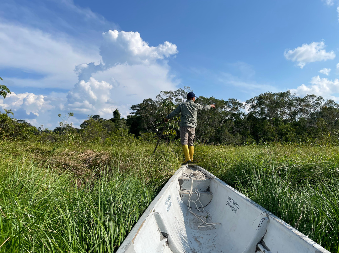 Parque Nacional del Yasuni - Fernando guia en la Amazonia景点图片