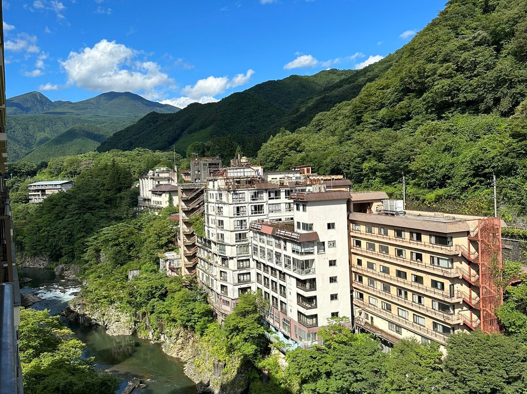 鬼怒川ASAYA温泉旅馆主图