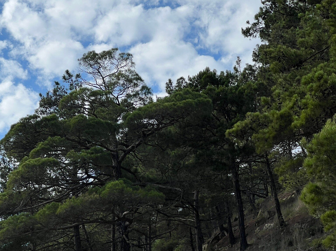 Gostevoy Dom Yekaterina主图