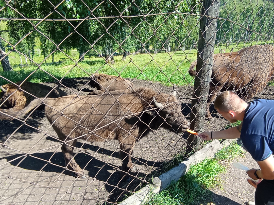 Bison Sanctuary景点图片