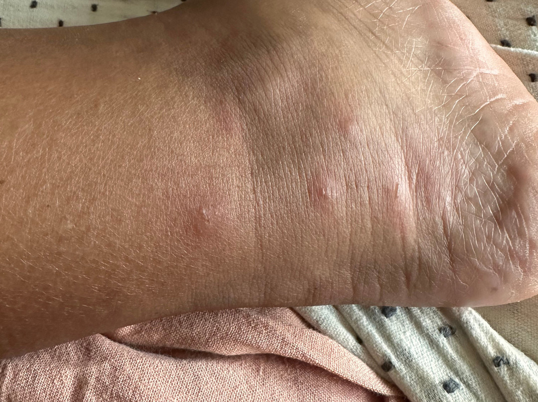 Kenny's Tipperary Inn主图