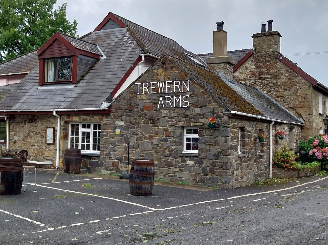 The Trewern Arms主图