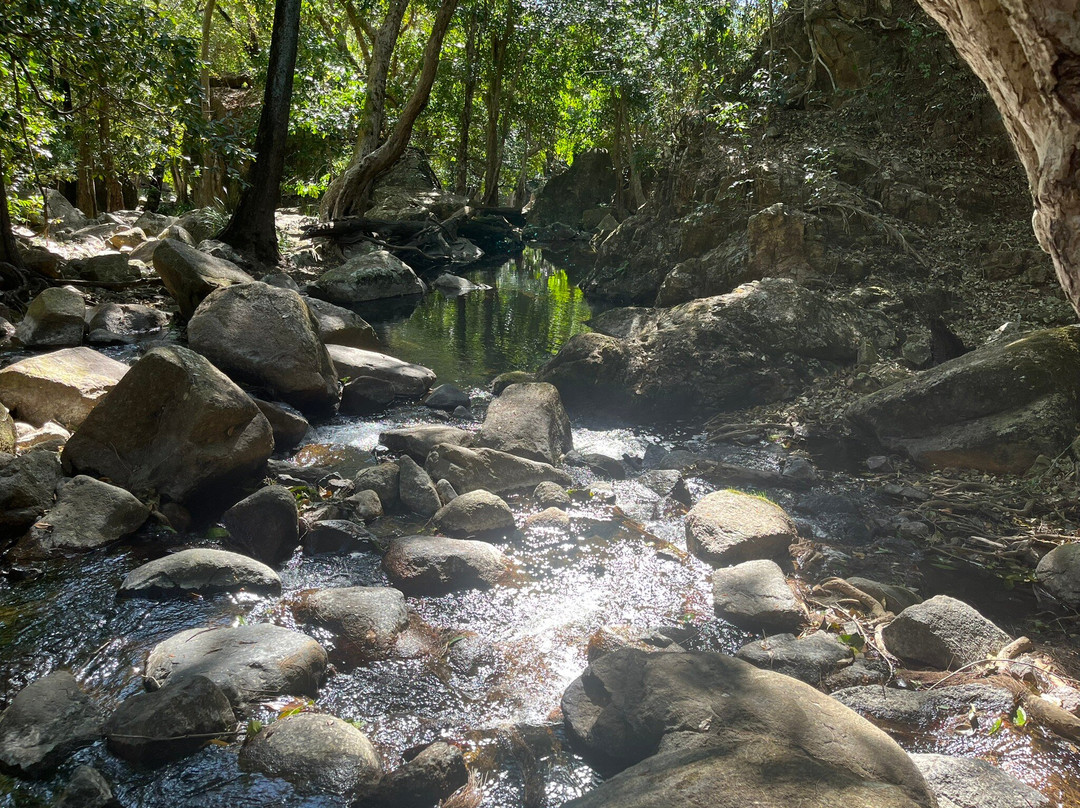 Jourama Falls-Ingham必去景点
