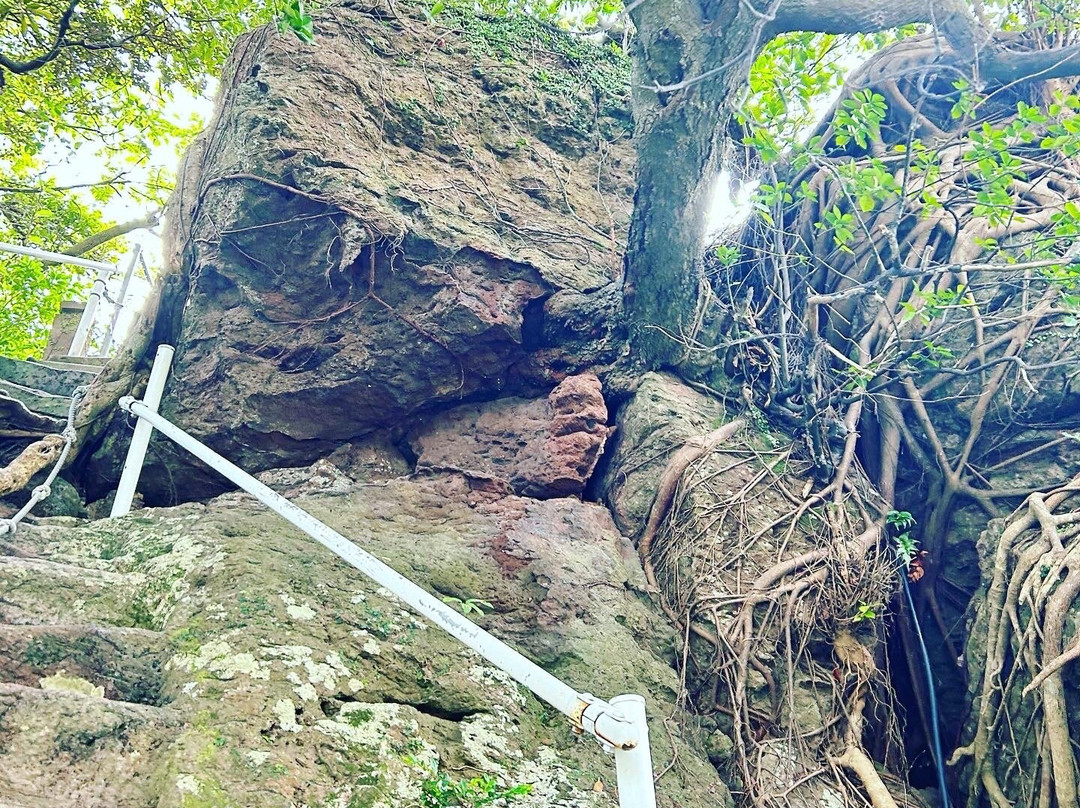 Arahira Tenzin Shrine-鹿屋市必去景点