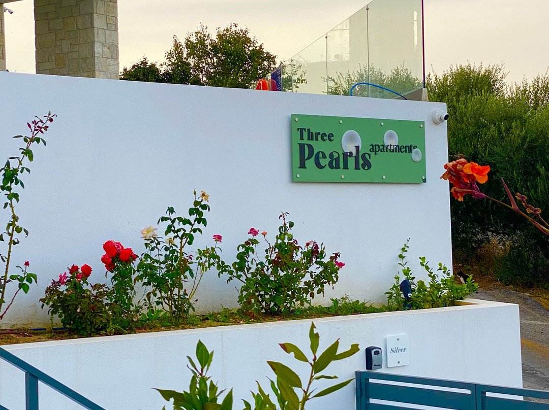 Three Pearls Apartments, Rose主图