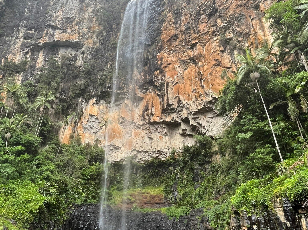 Purling Brook Falls景点图片