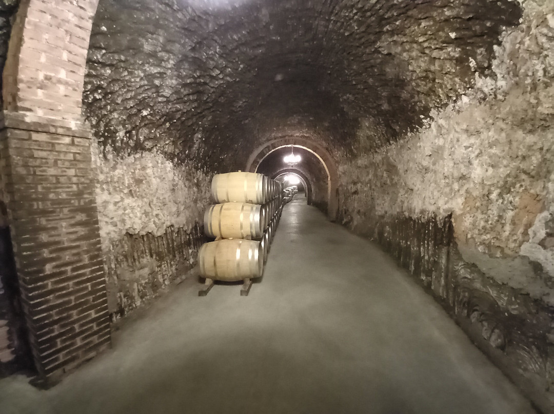 Bodegas Ismael Arroyo景点图片