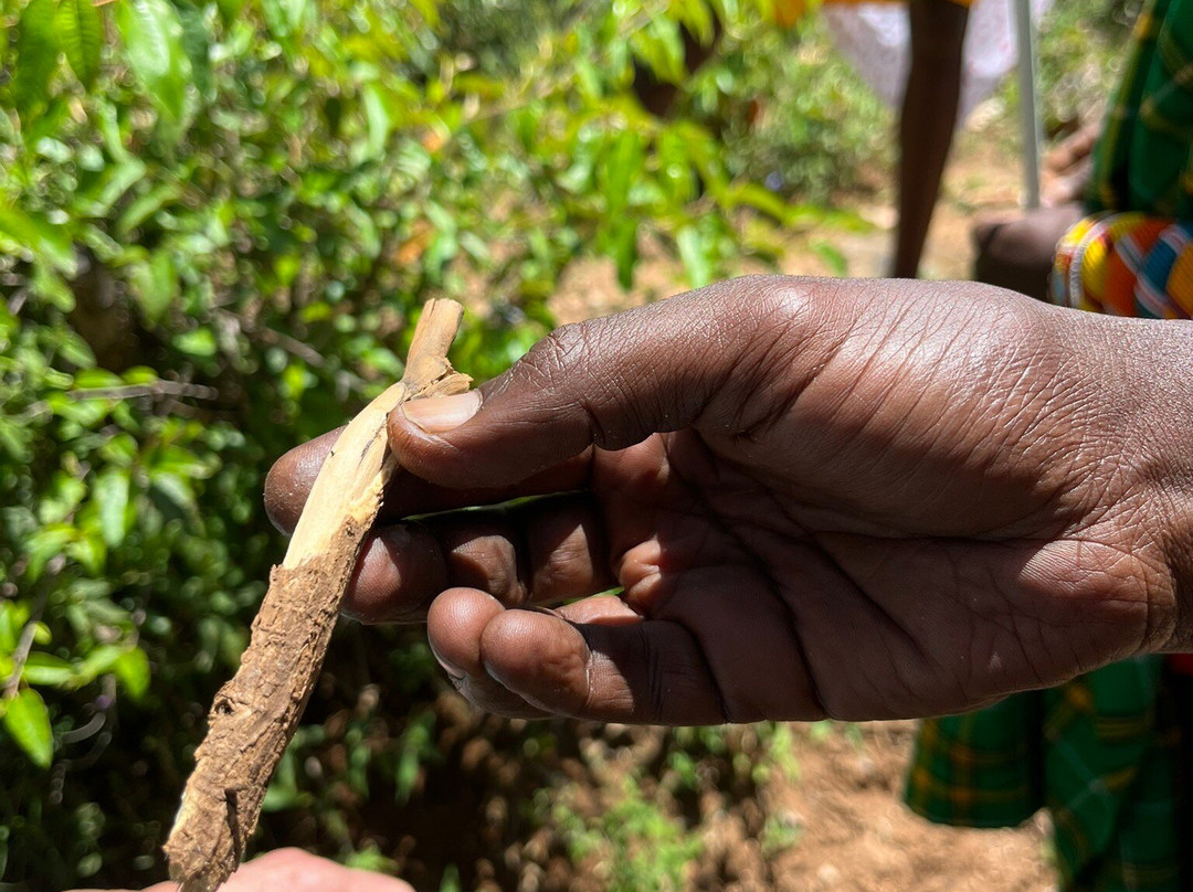 Ngari Hill Ecolodge主图