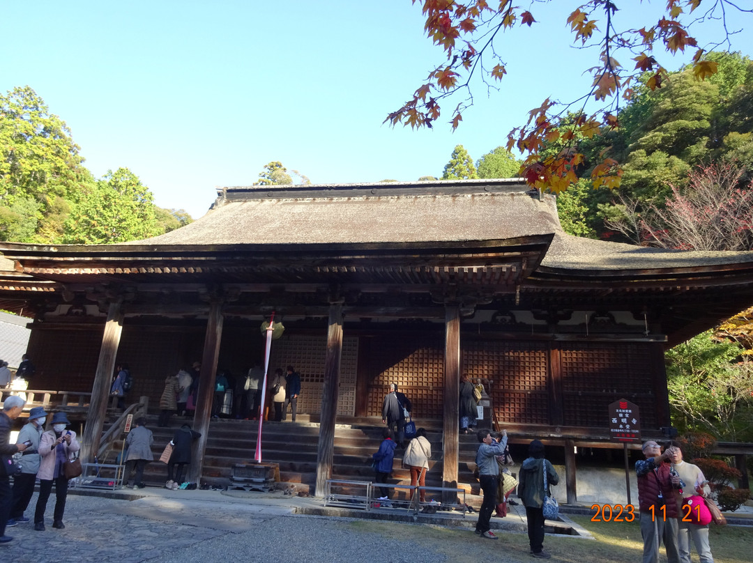 Saimyo-ji Temple-甲良町必去景点