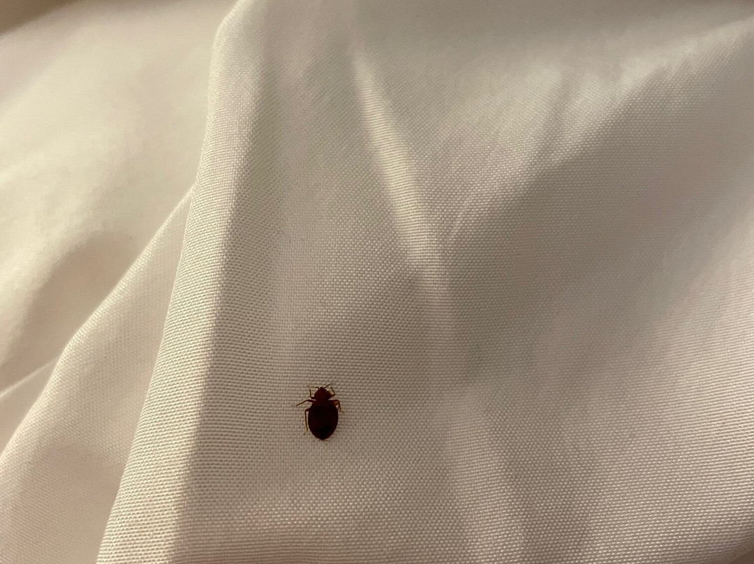 Comfort Inn & Suites主图