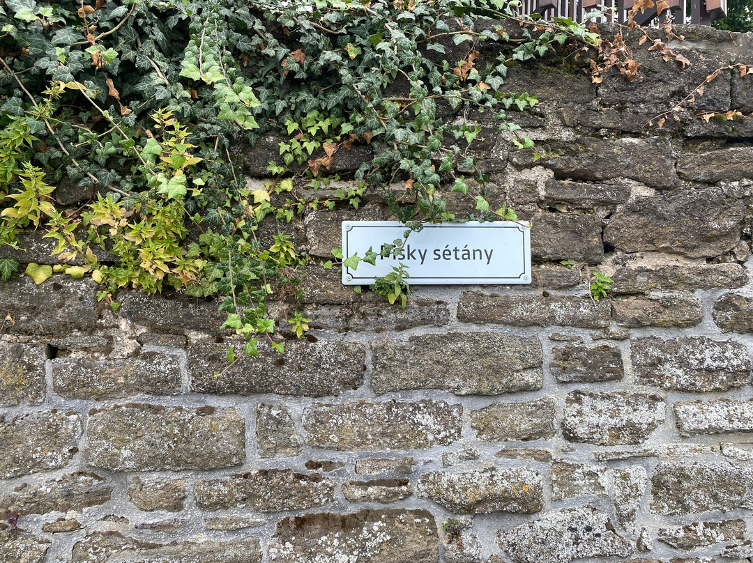 Pisky Promenade景点图片