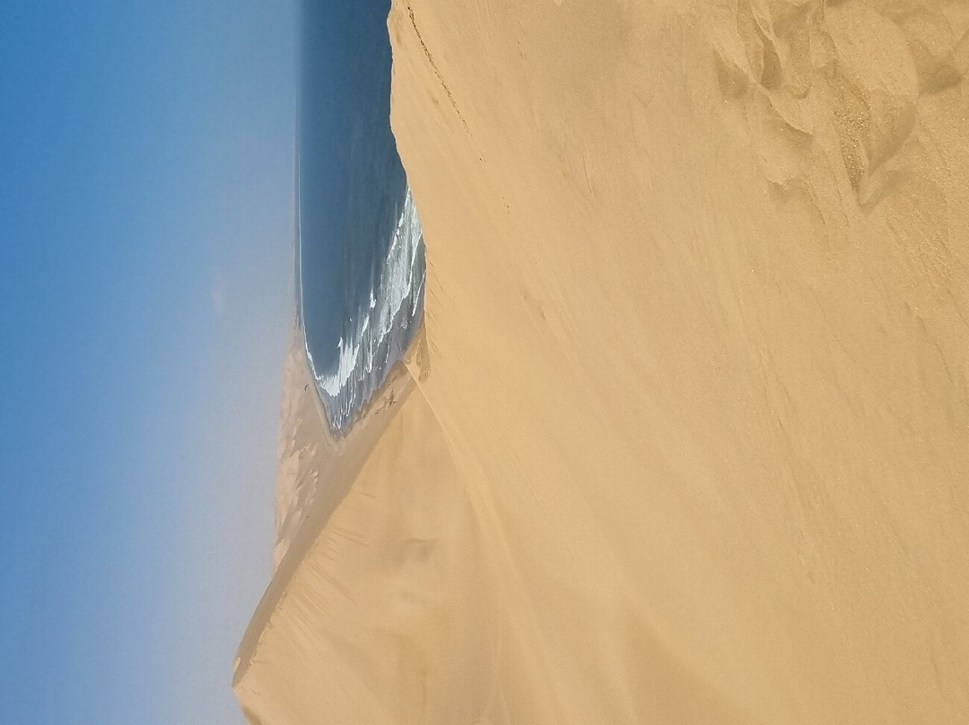 Mola Mola Safaris-华维斯湾必去景点