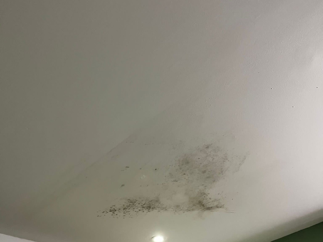 考马拉旅馆主图