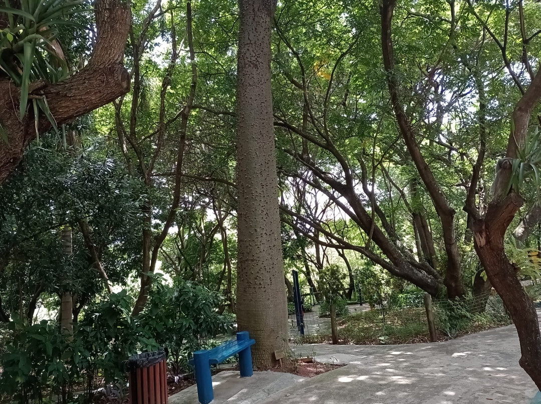 Parque Botanico Eloy Chaves-容迪亚伊必去景点