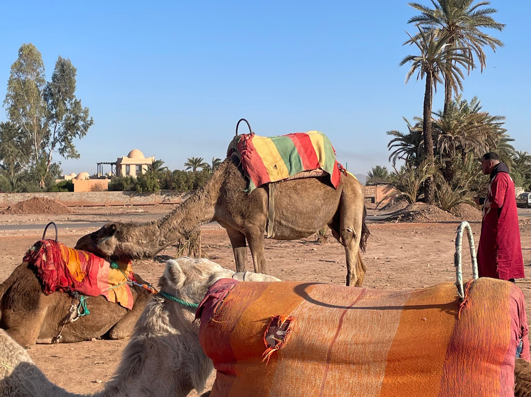 Morocco Unique Travel景点图片