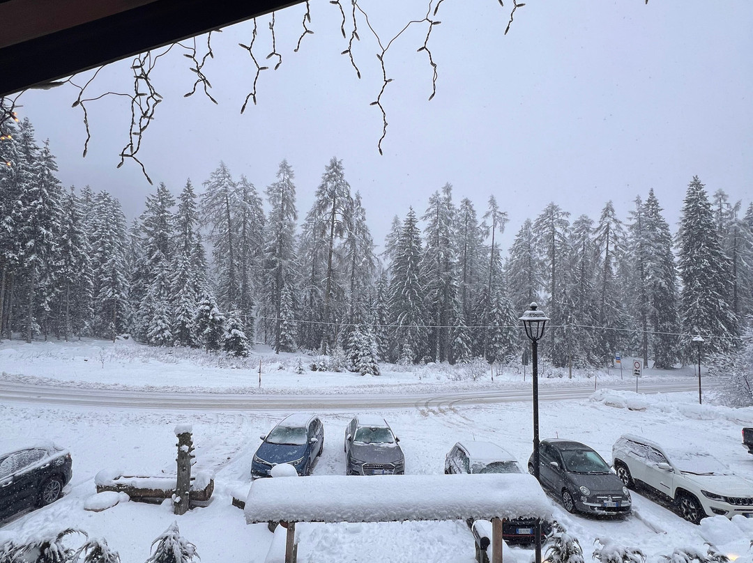 Chalet Delle Ville主图