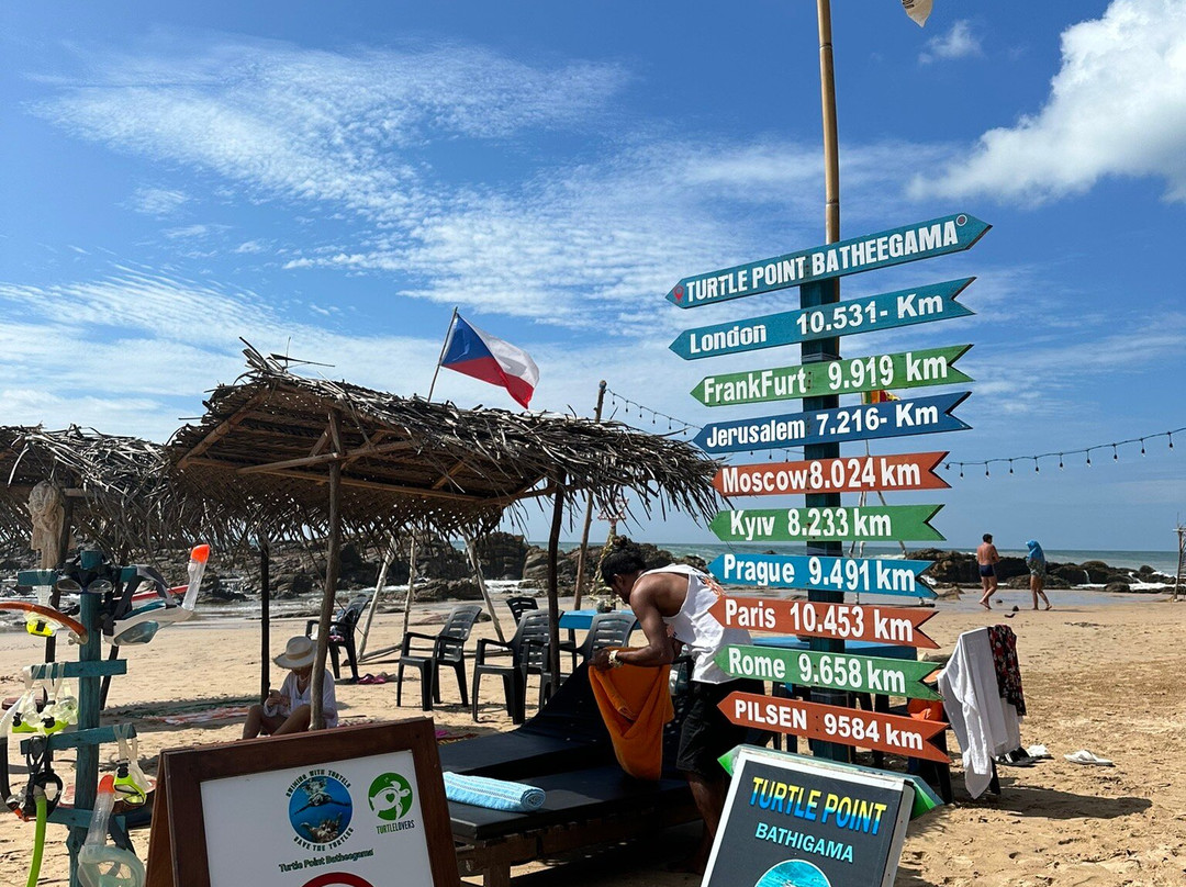 Turtle Point-美蕊沙必去景点