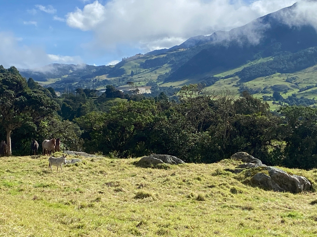 La Gloria Reserva Forestal主图