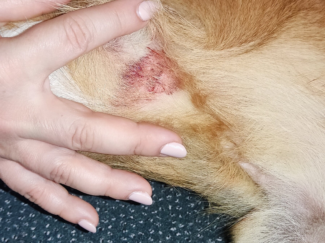 Crystal Mountain Hotel主图