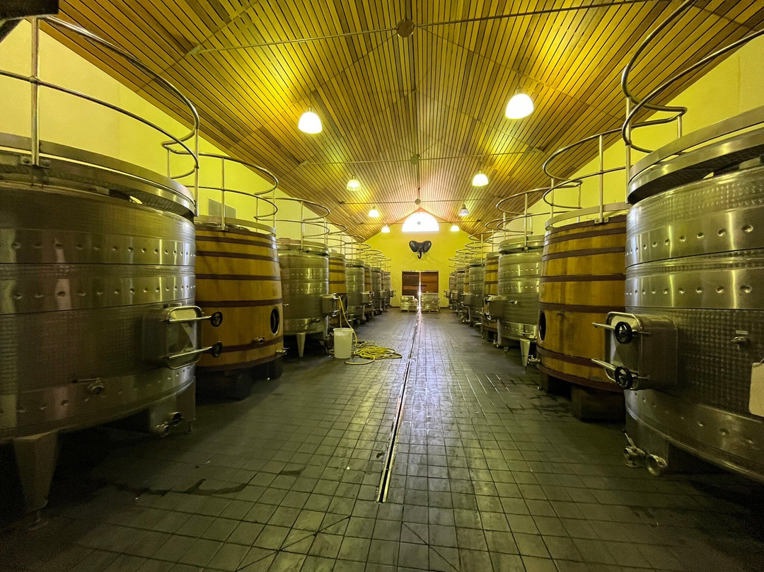 Marianne Wine Estate Guesthouse主图