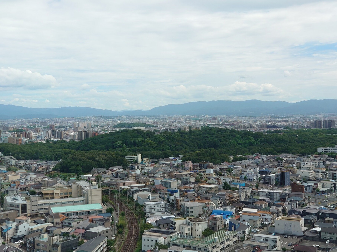 Sakai City Hall Observatory 21st Flour-坂井市必去景点