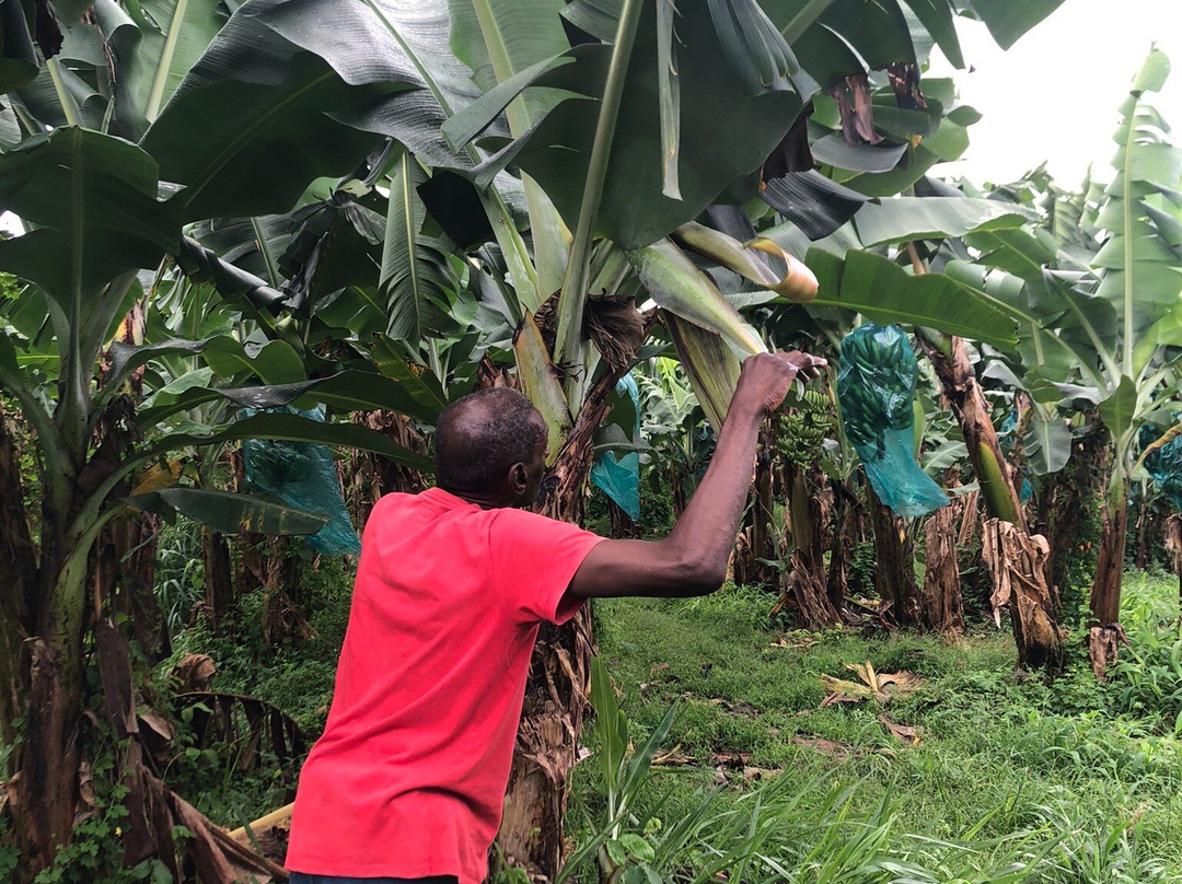 Sentier Nature Et Decouverte Chalvet-Basse-Pointe必去景点