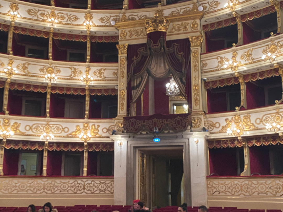 Teatro Regio景点图片