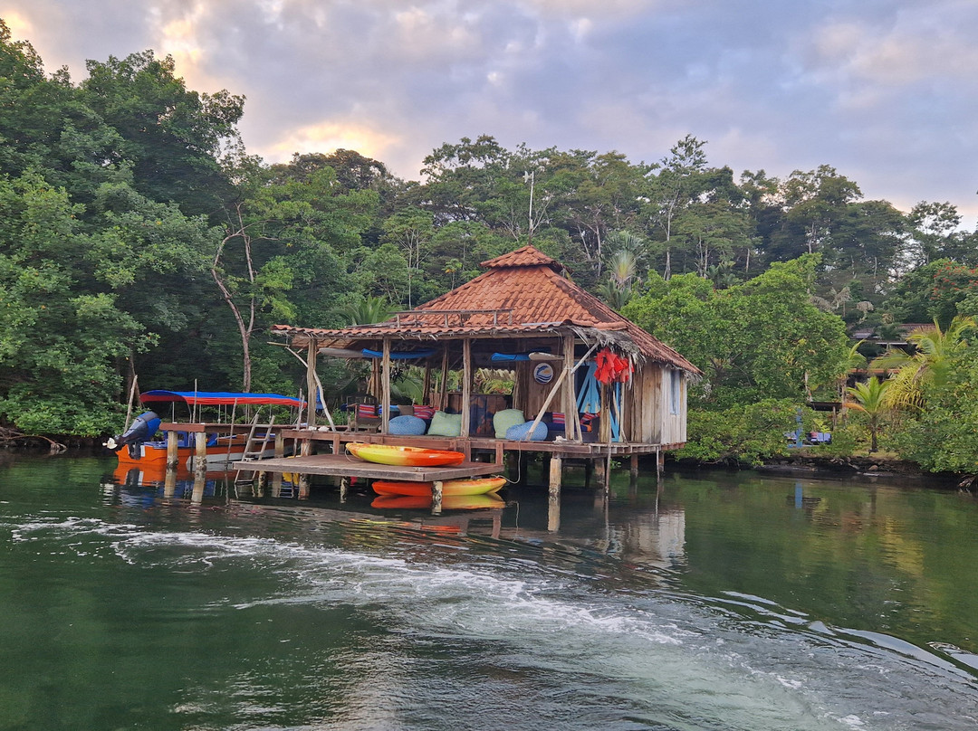 Dolphin Bay Hideaway主图