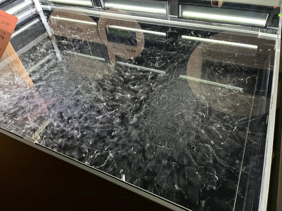 Nuclear Science Museum-东海村必去景点