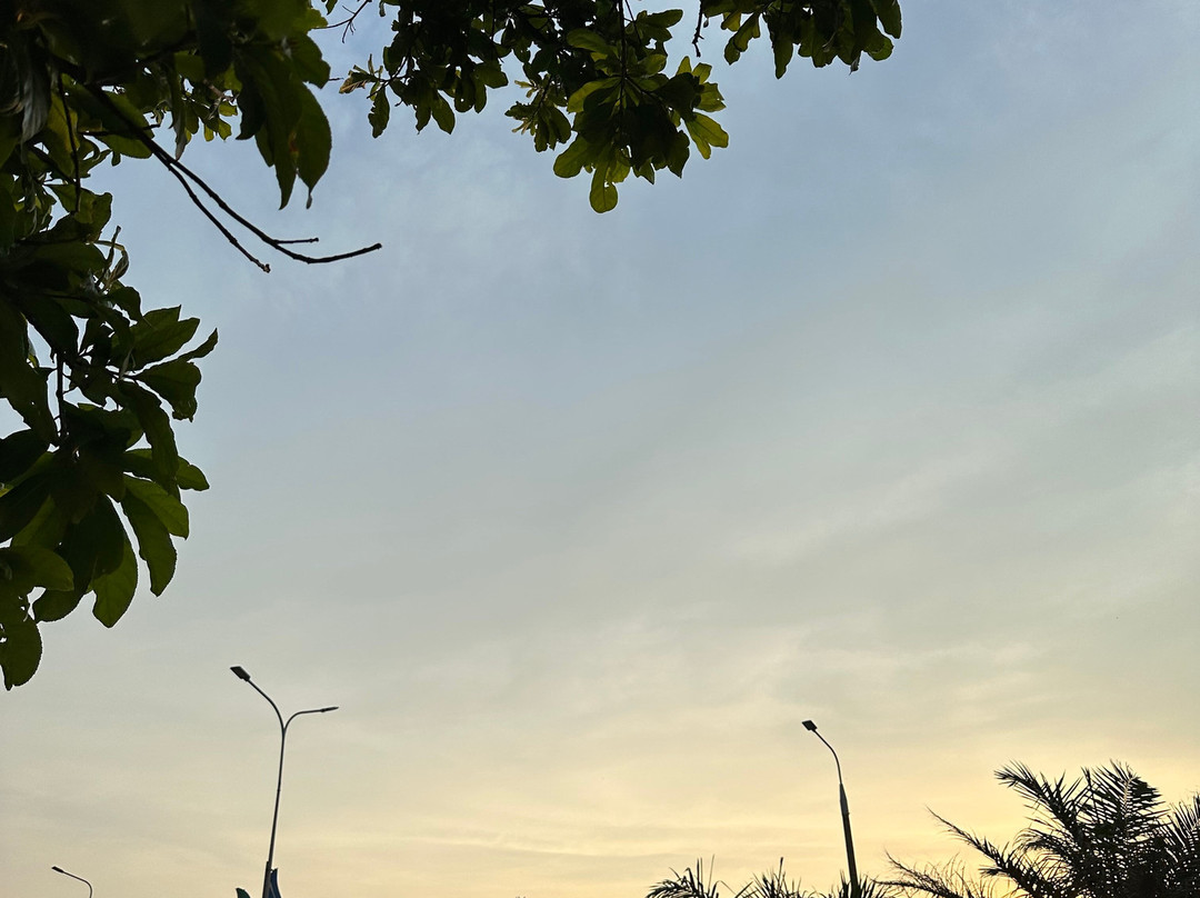 Muong Thanh Luxury Nhat Le Hotel主图