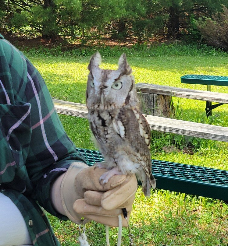 Open Door Bird Sanctuary-Jacksonport必去景点