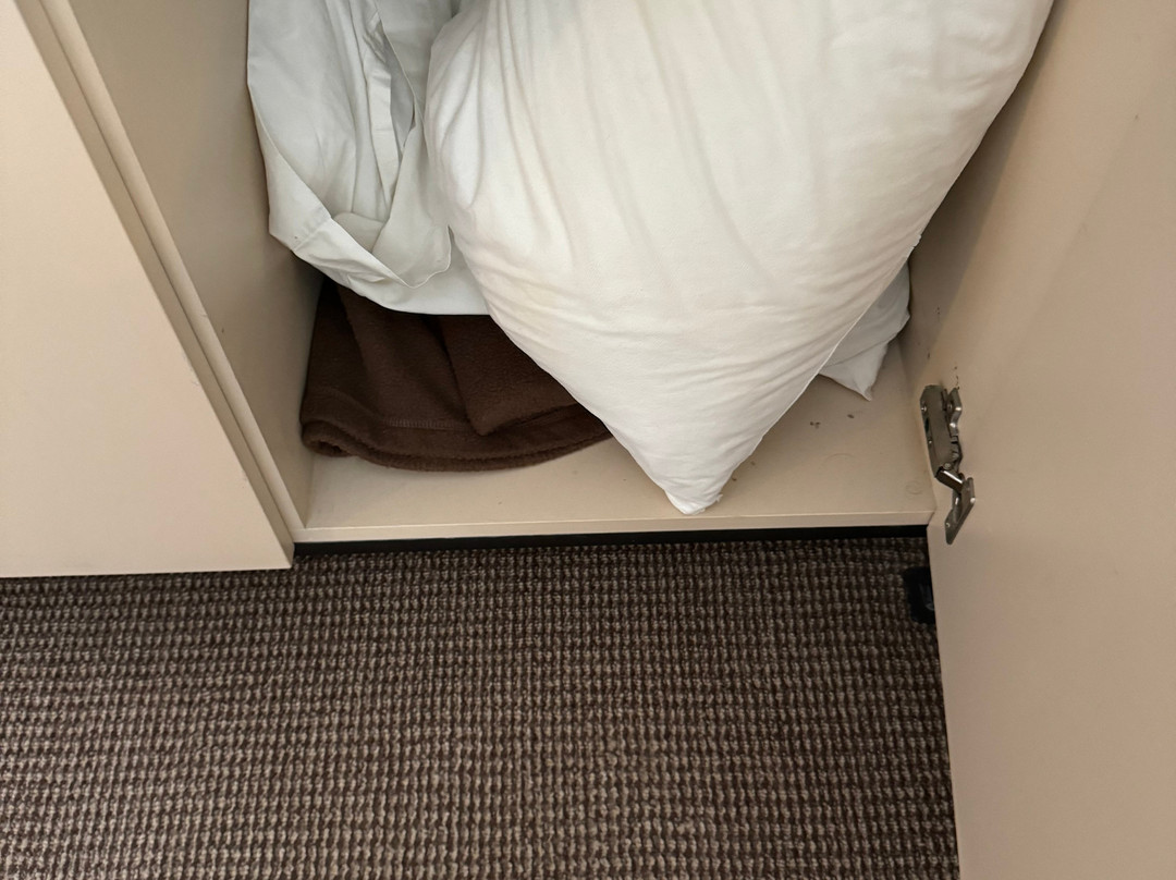 Best Western Deincourt Hotel主图