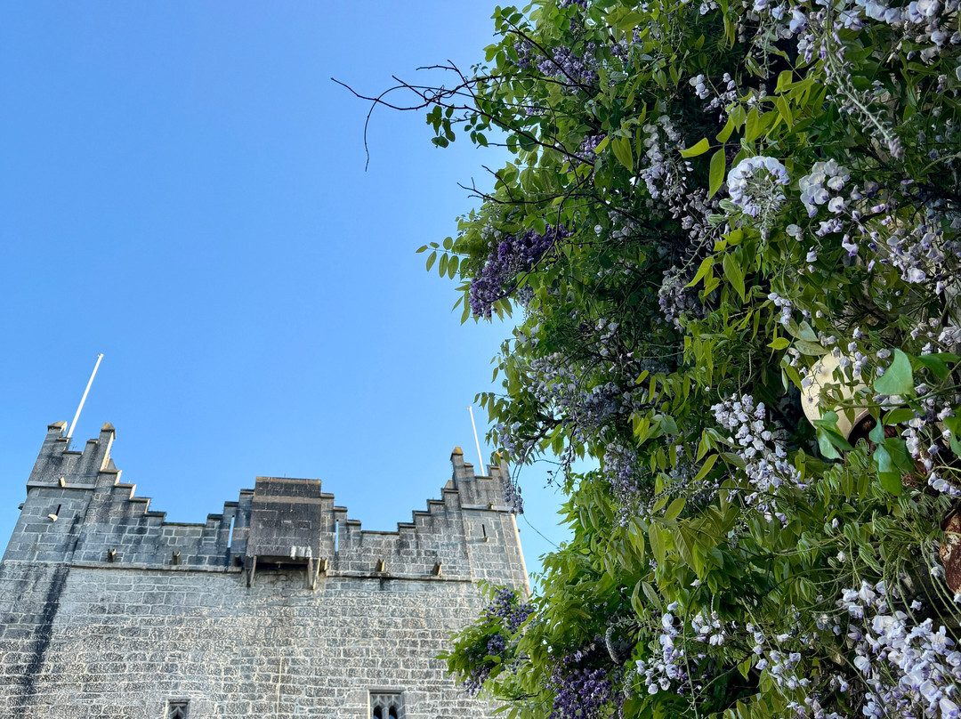 Claregalway Castle景点图片