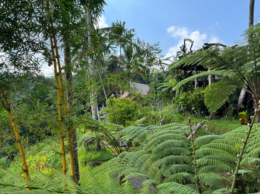 Santa Volkswagen Tour-Renon必去景点