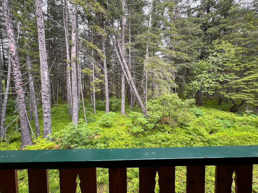 苏华德风歌旅舍主图