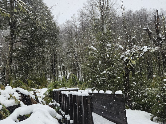 GoPucon Turismo Aventura-普孔必去景点