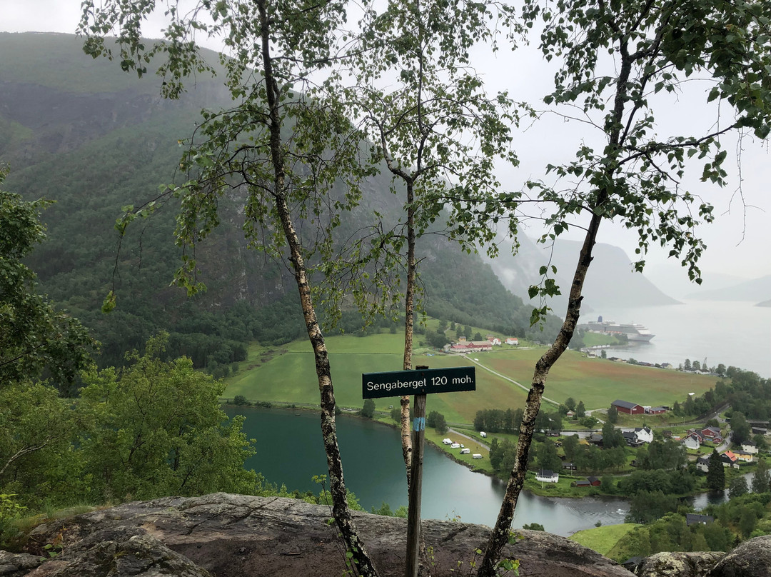 Skjolden Tourist Information景点图片