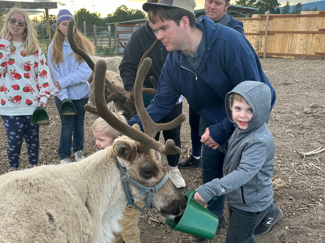 Goldendale Reindeer-Goldendale必去景点