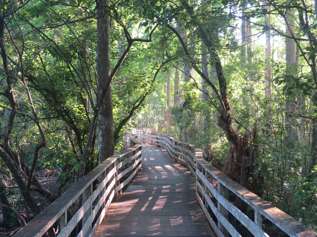 螺旋沼泽鸟兽禁猎区