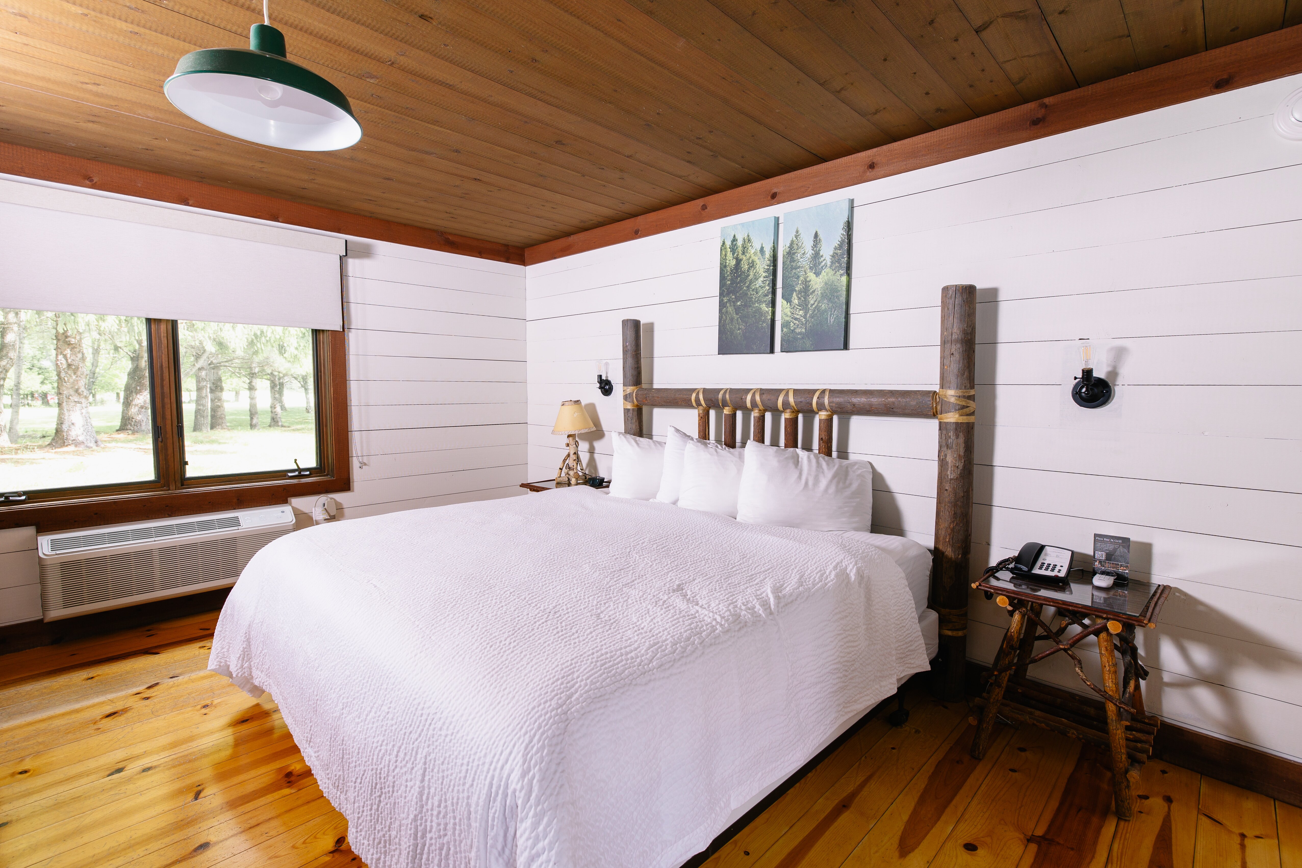 Drummond Island Resort-客卧