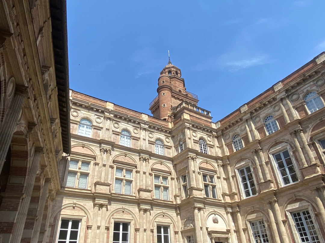 Toulouse Guided Walks-图卢兹必去景点