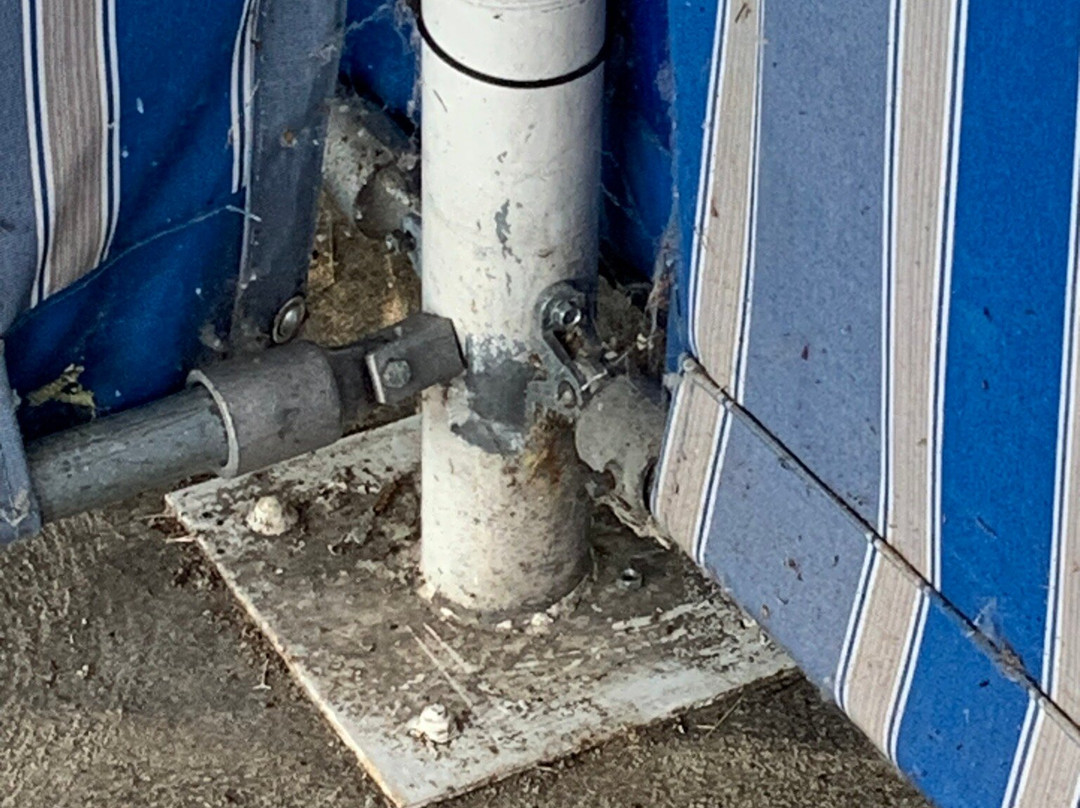 Cedar Point Shores Waterpark-桑达斯基必去景点