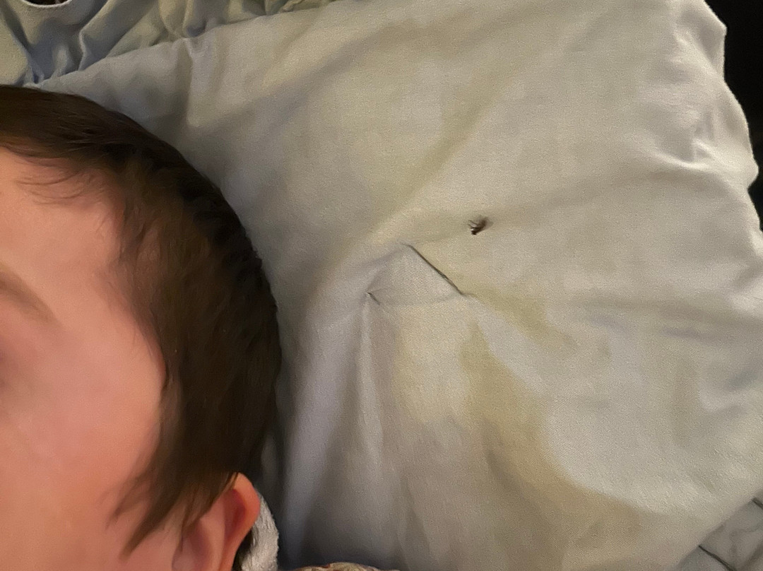 特洛克Travelodge by Wyndham酒店主图