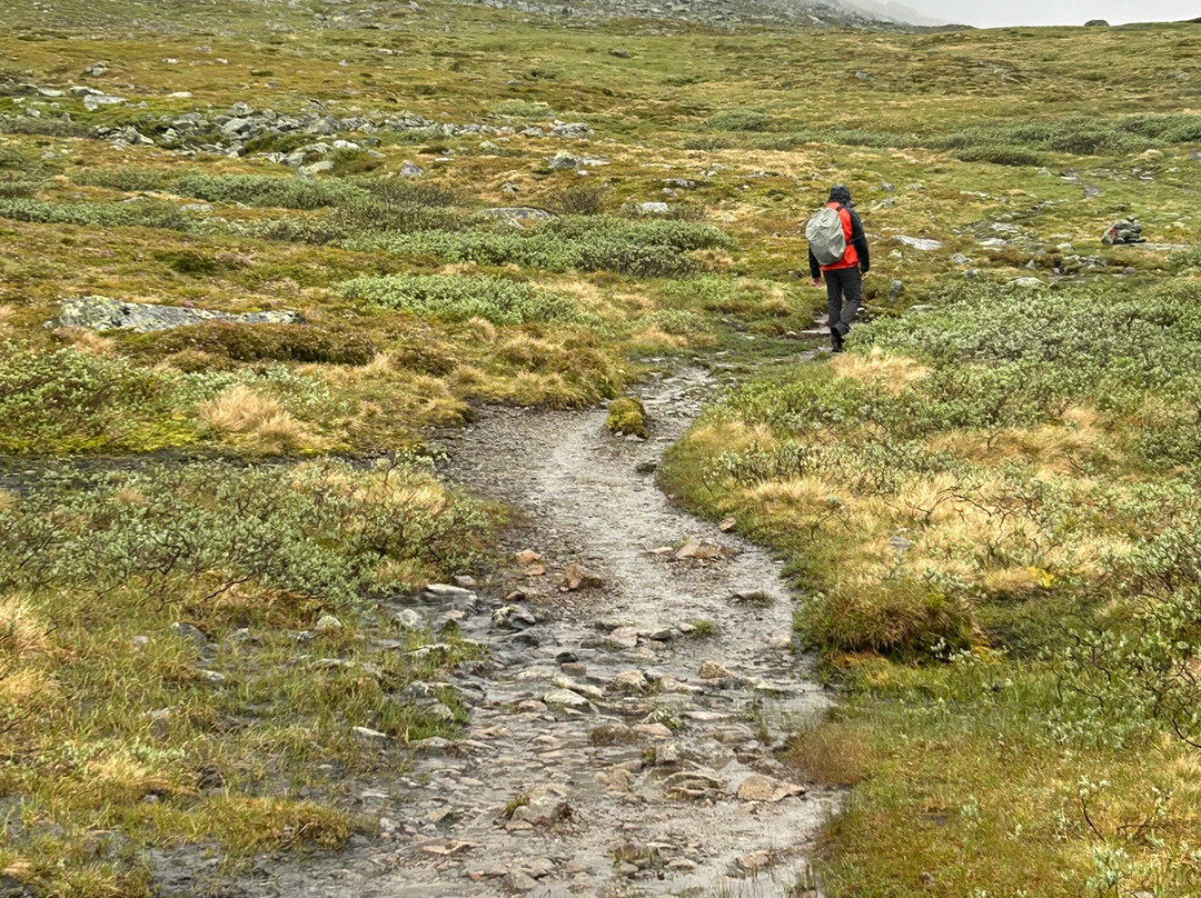Jotunheimen Travel景点图片