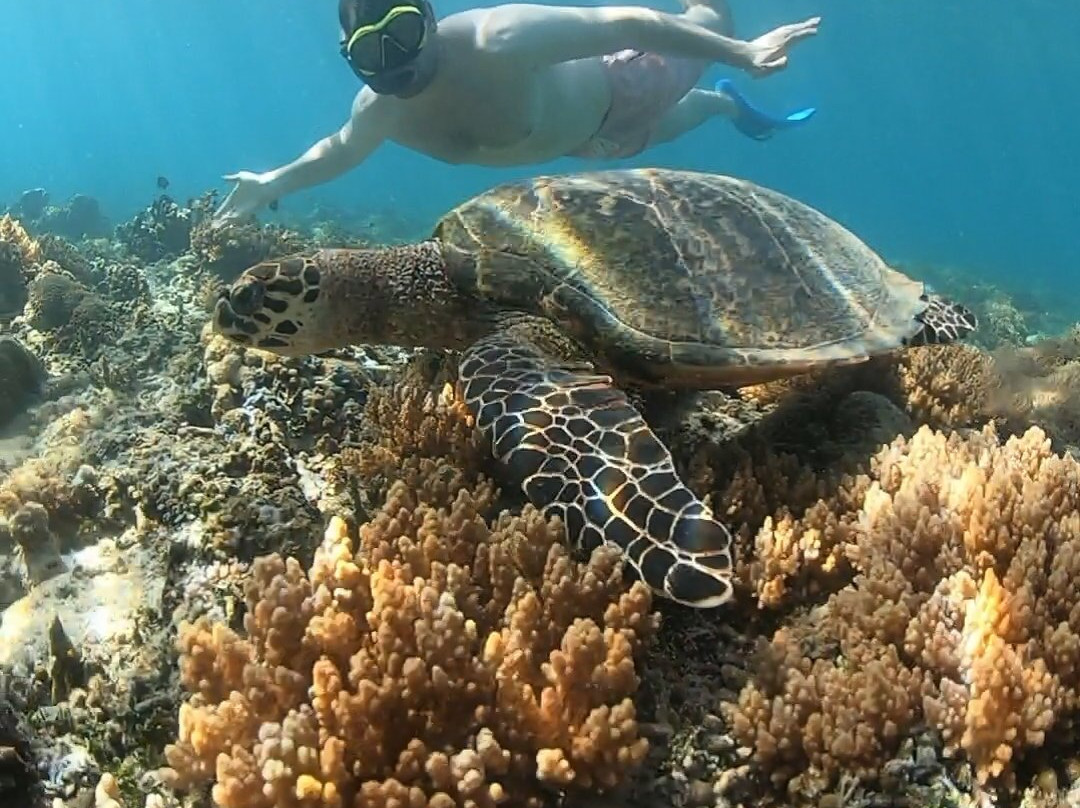Teguh Lombok Guide景点图片