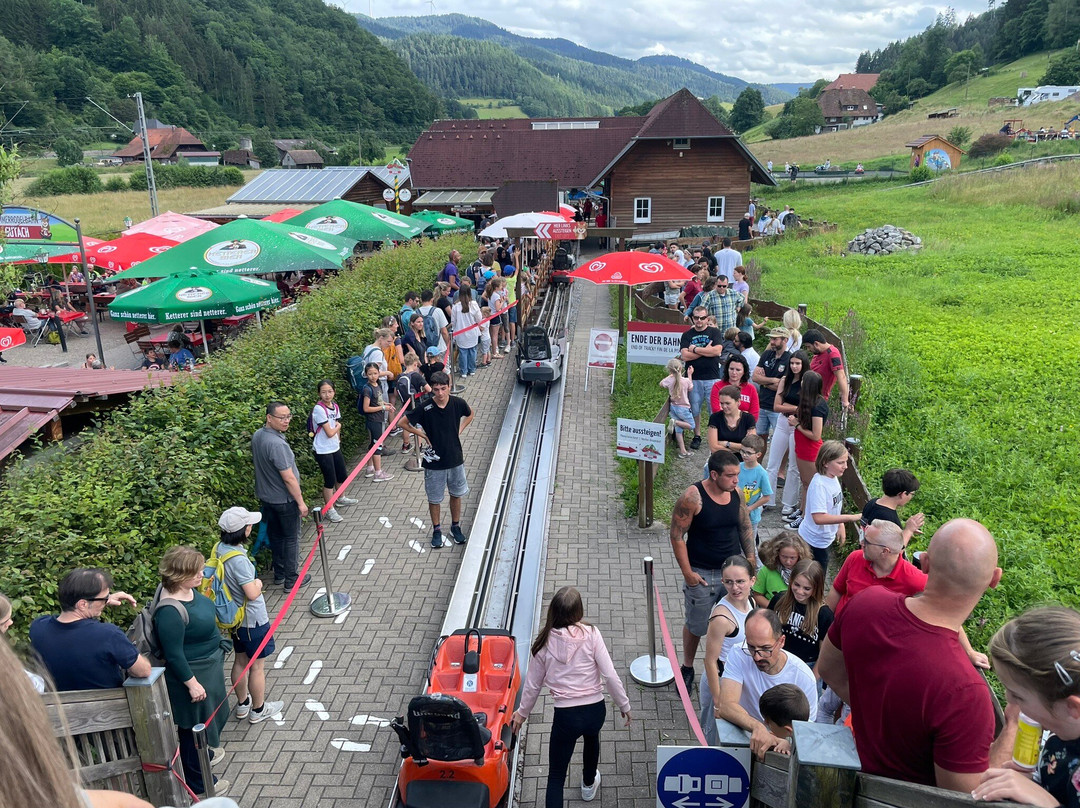 Sommerrodelbahn Gutach景点图片