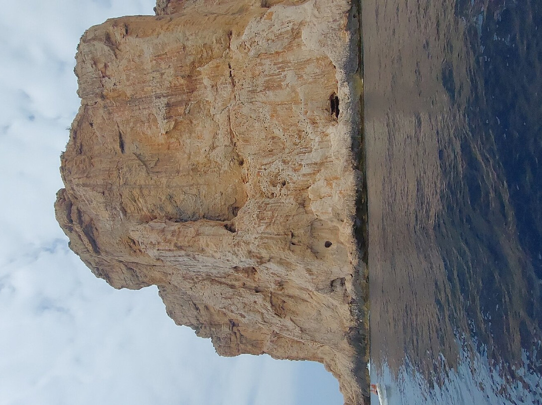 Navisarda - Linea Grotte di Nettuno-阿尔盖罗必去景点