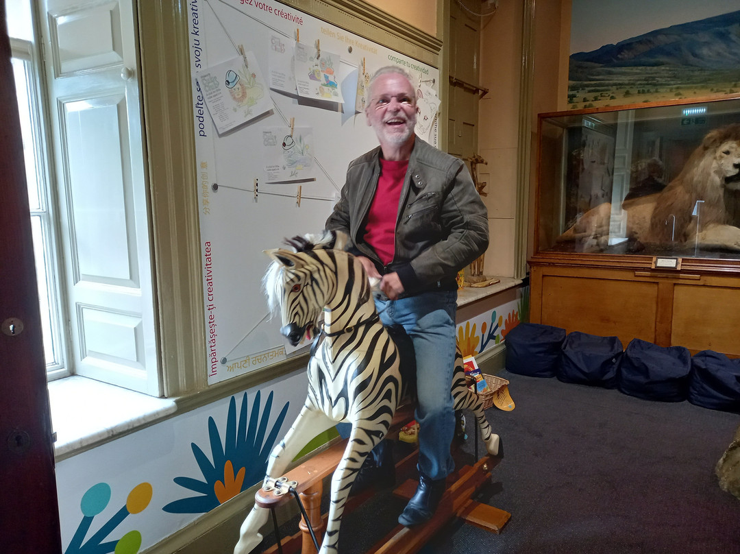 Clifton Park Museum景点图片